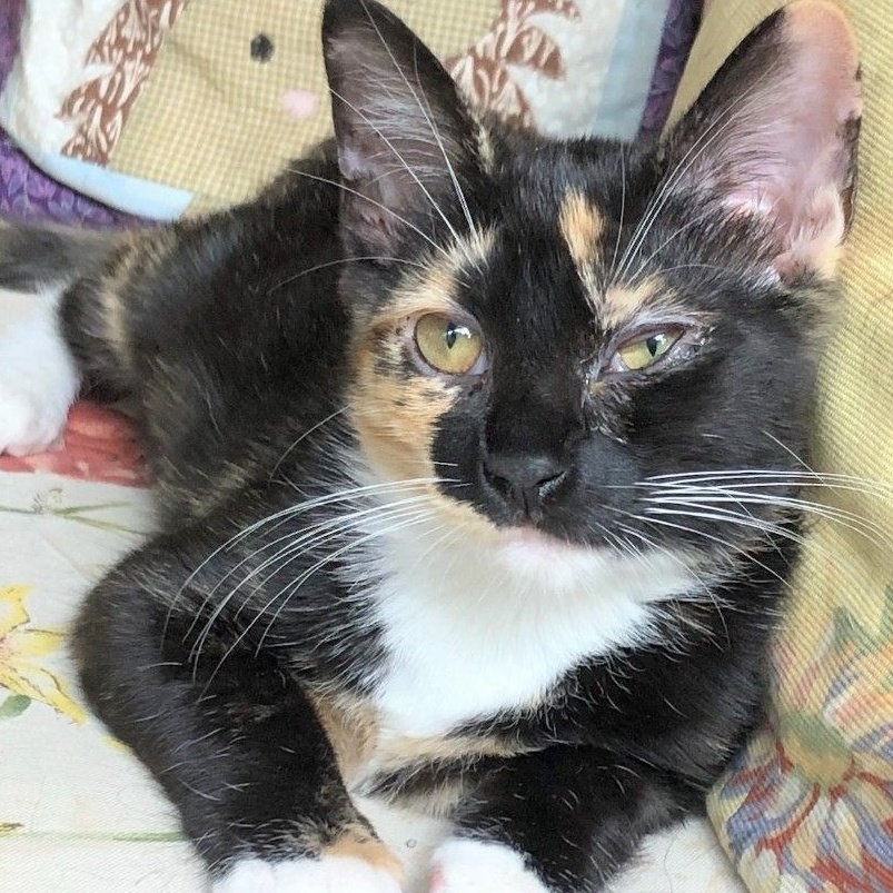 Sophie photo 1