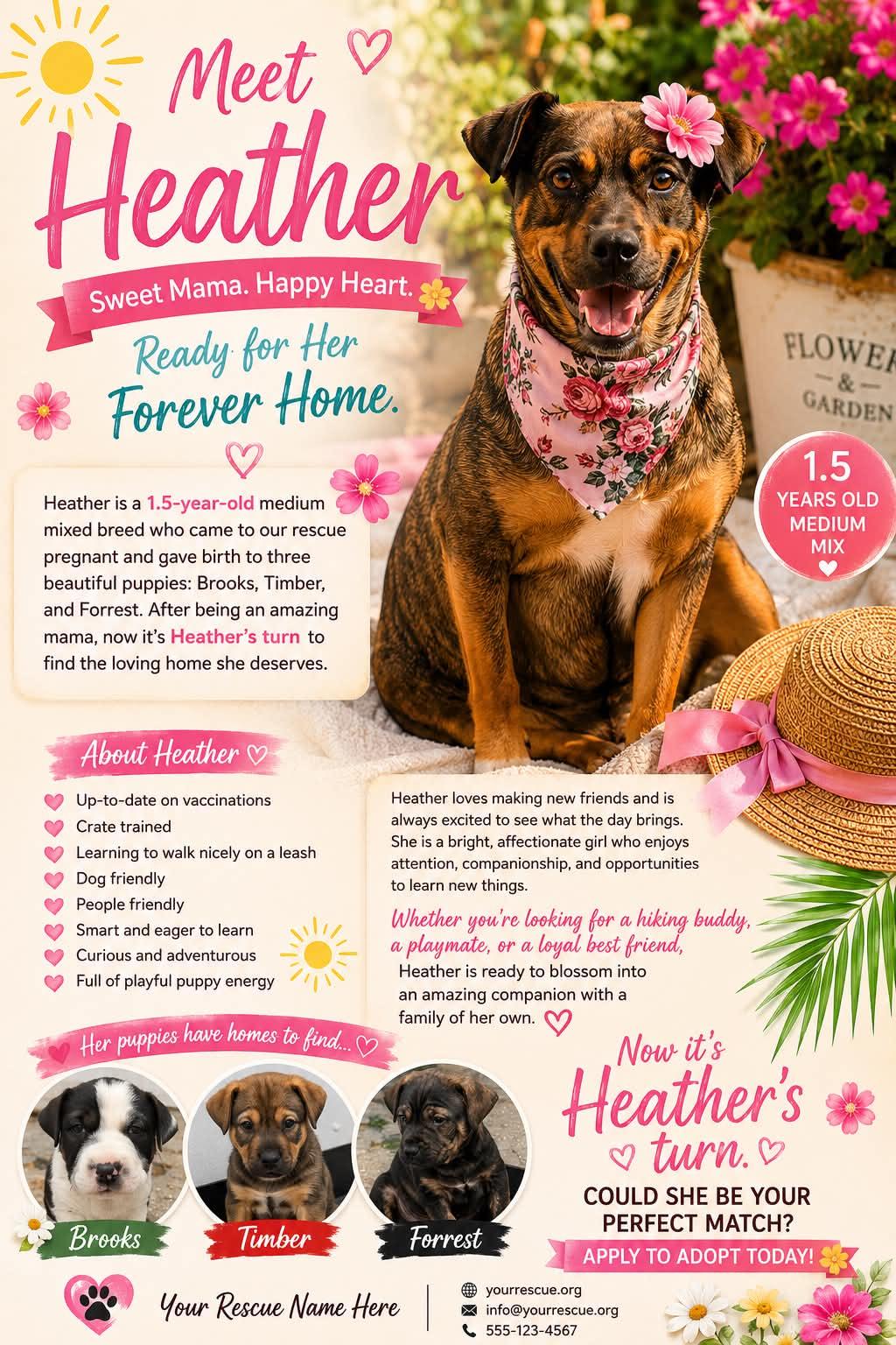 Heather, a ADOPTABLE Mixed Breed in Ashland, KY image 2/2