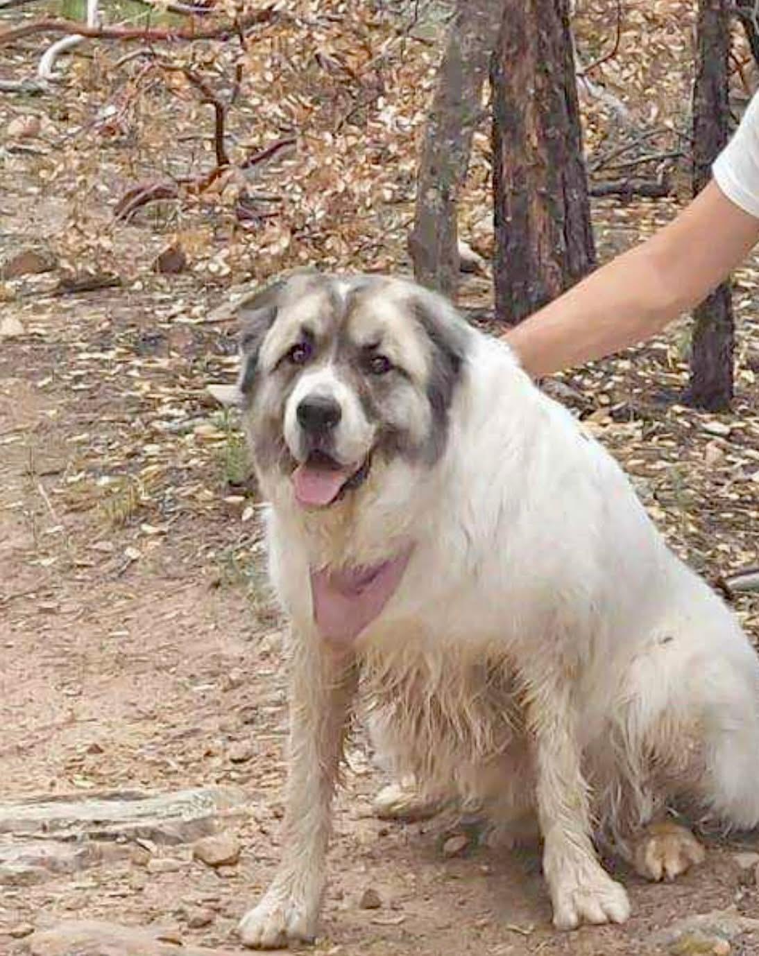 Photo of Fiona