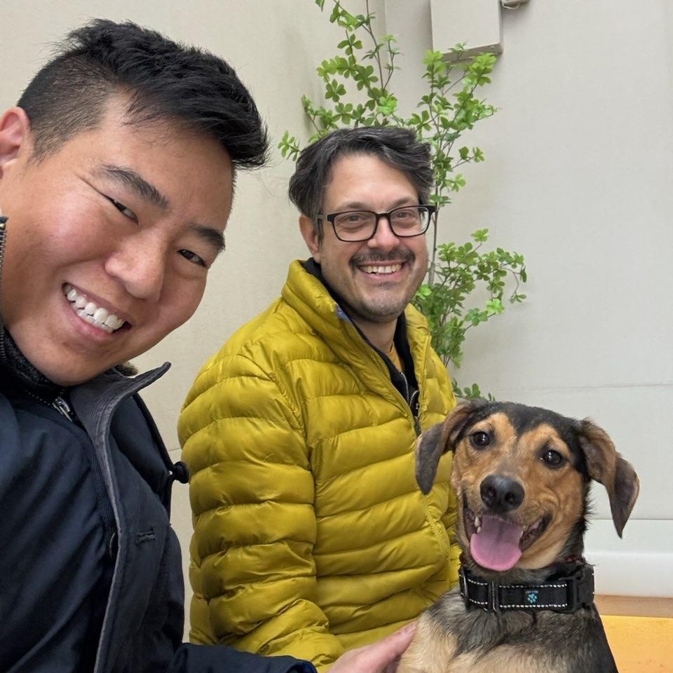 Dog Adopted - Danny a Dachshund Labrador Retriever Dog in POTOMAC, MD |  Petfinder, image size:960x960