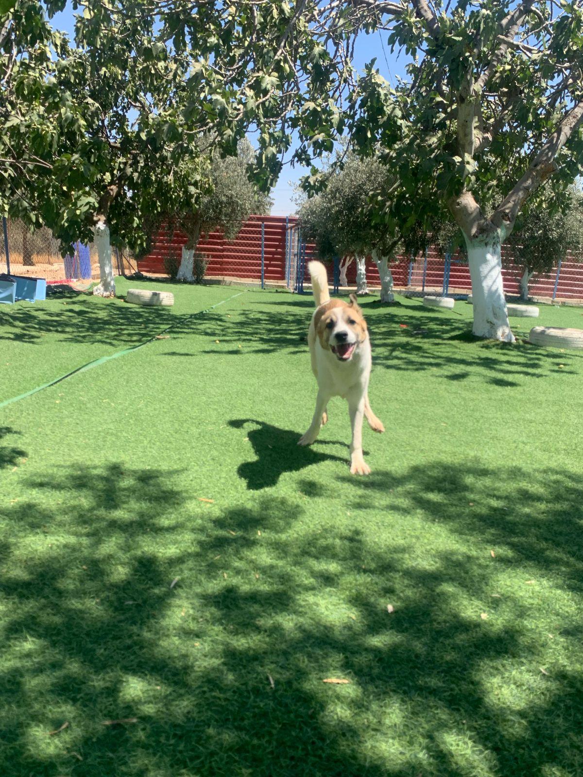 Fareed, the Unique Special Boy