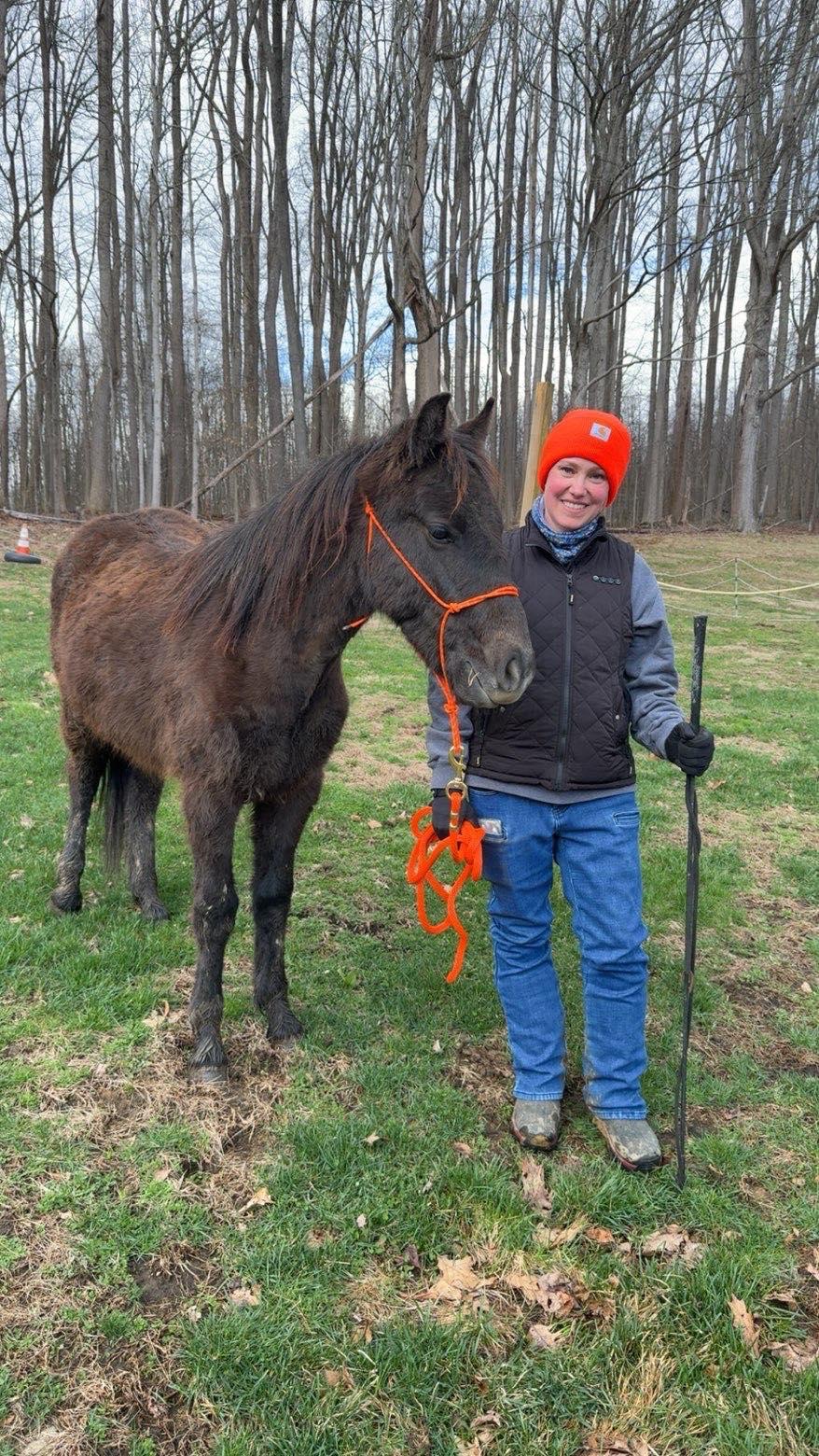 Enlarge Yukon ATFO 2026 Whippersnapper division, a Adoptable Pony in Huntington, WV image 5/6
