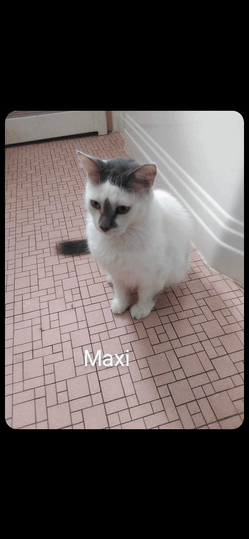 Maxi- loving 