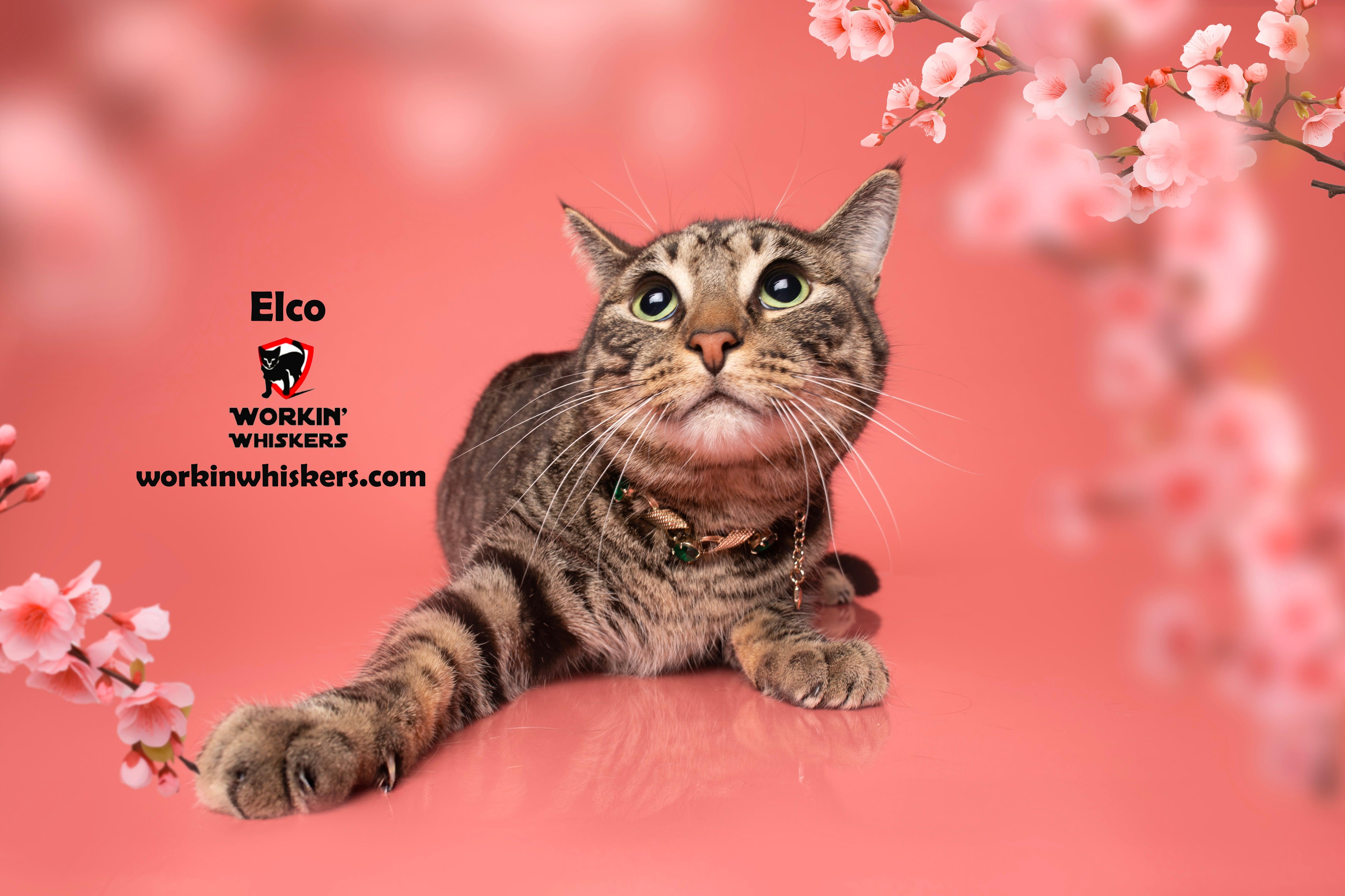 ELCO