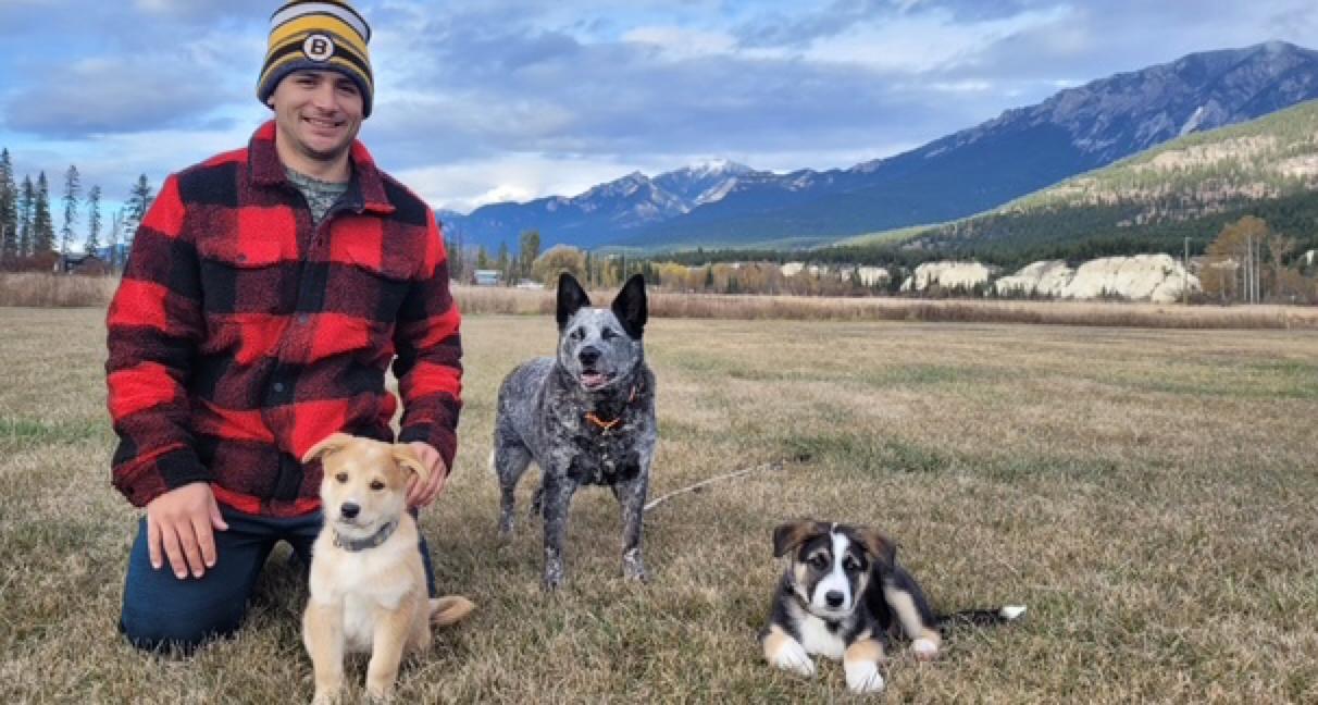 Wasabi, a Adoptable mixed breed in Calgary, AB image 3/4