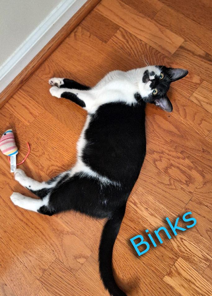 Binks