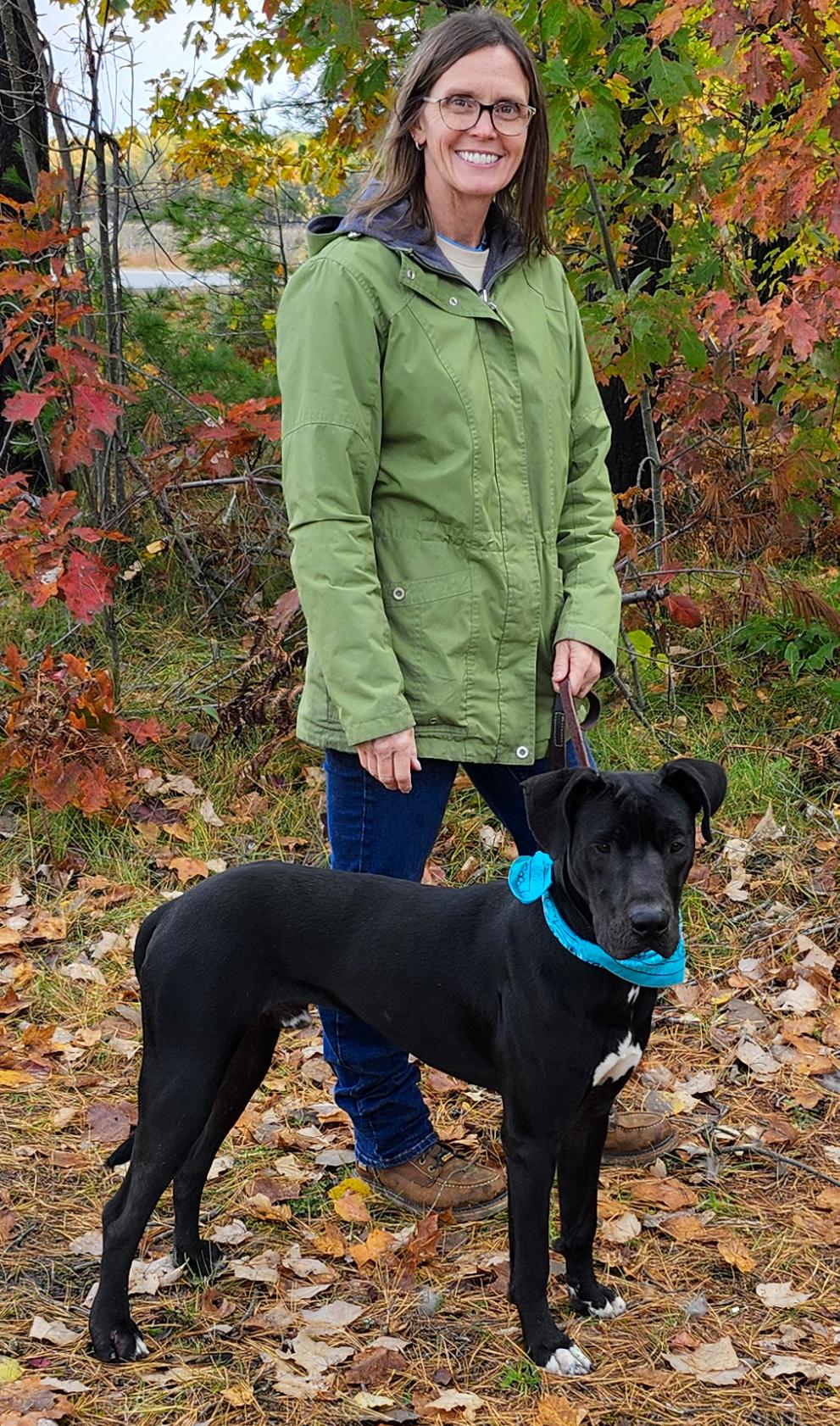 Arlo, an adoptable Great Dane, Black Labrador Retriever in Cheboygan, MI, 49721 | Photo Image 6