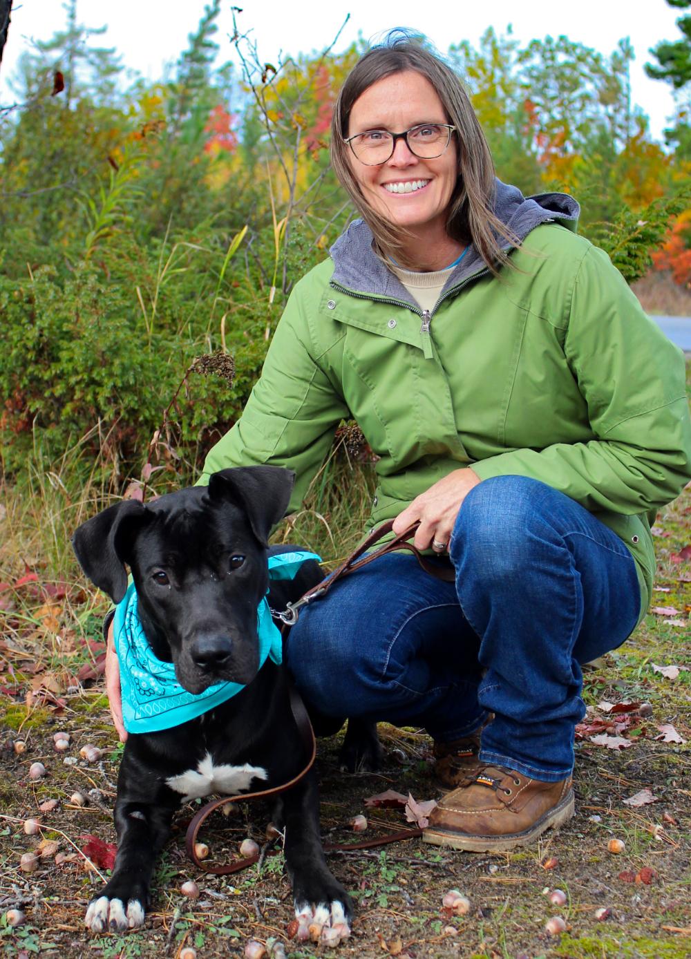 Arlo, an adoptable Great Dane, Black Labrador Retriever in Cheboygan, MI, 49721 | Photo Image 2