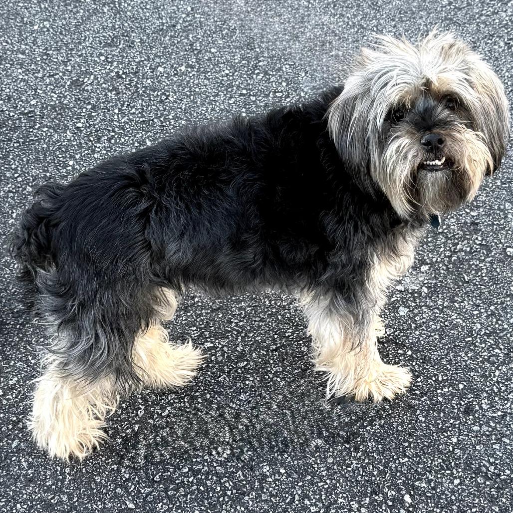 Kymera 21394 — thumbnail 2