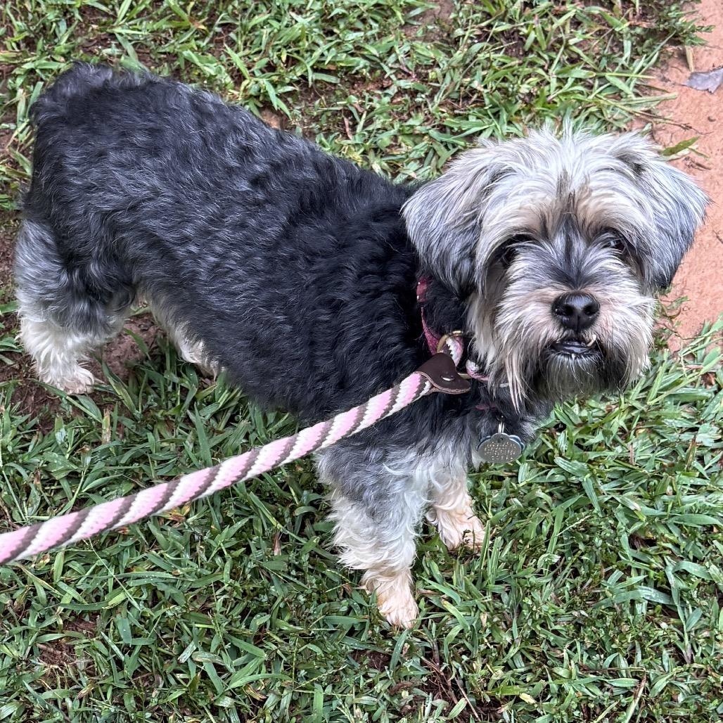 Kymera 21394 — thumbnail 3