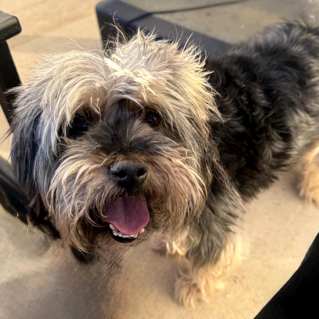 Kymera 21394 — thumbnail 4