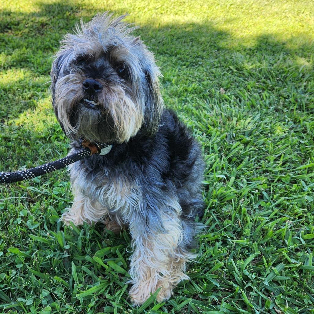 Kymera 21394 — thumbnail 6