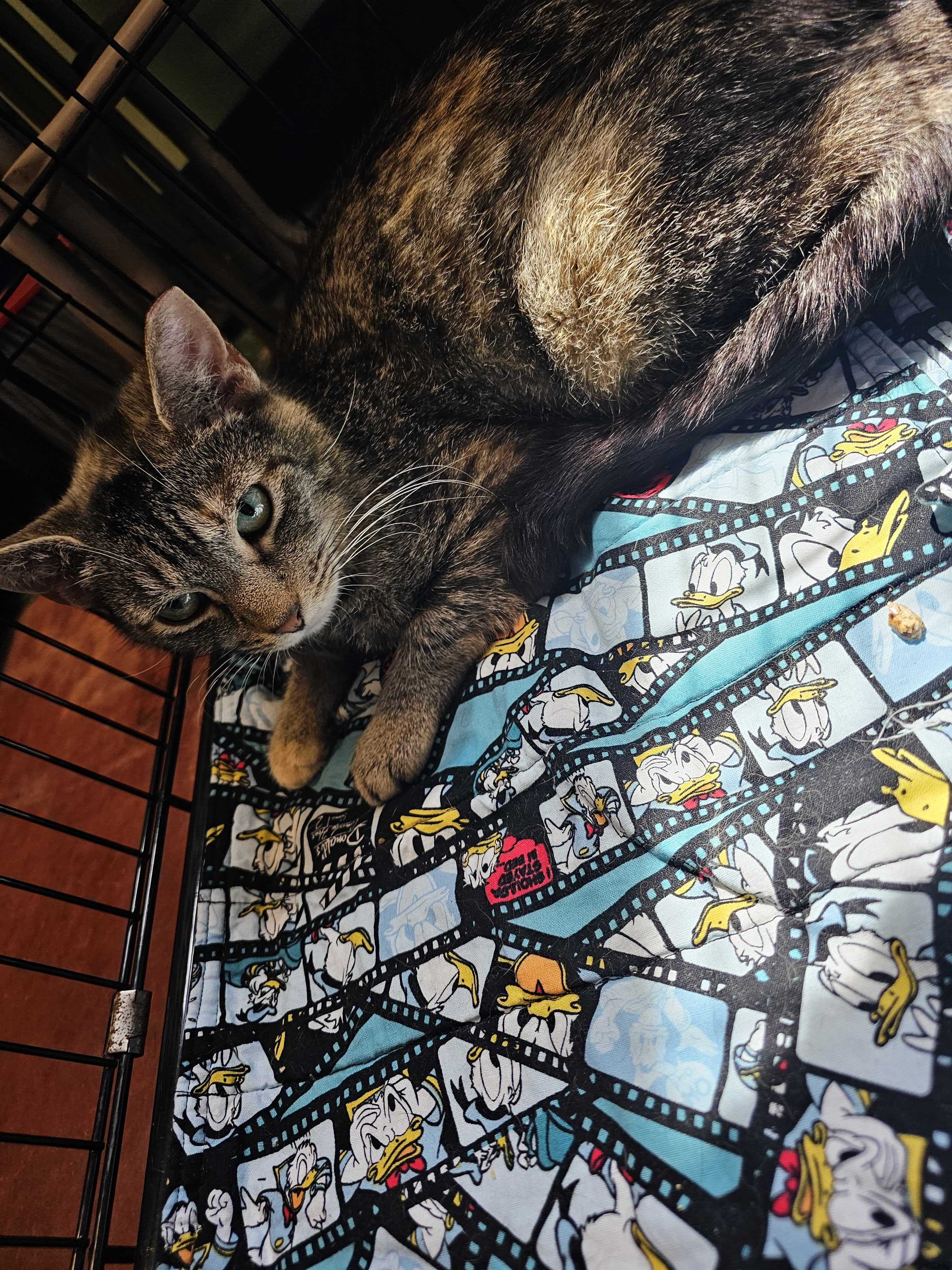 Ellie Mae