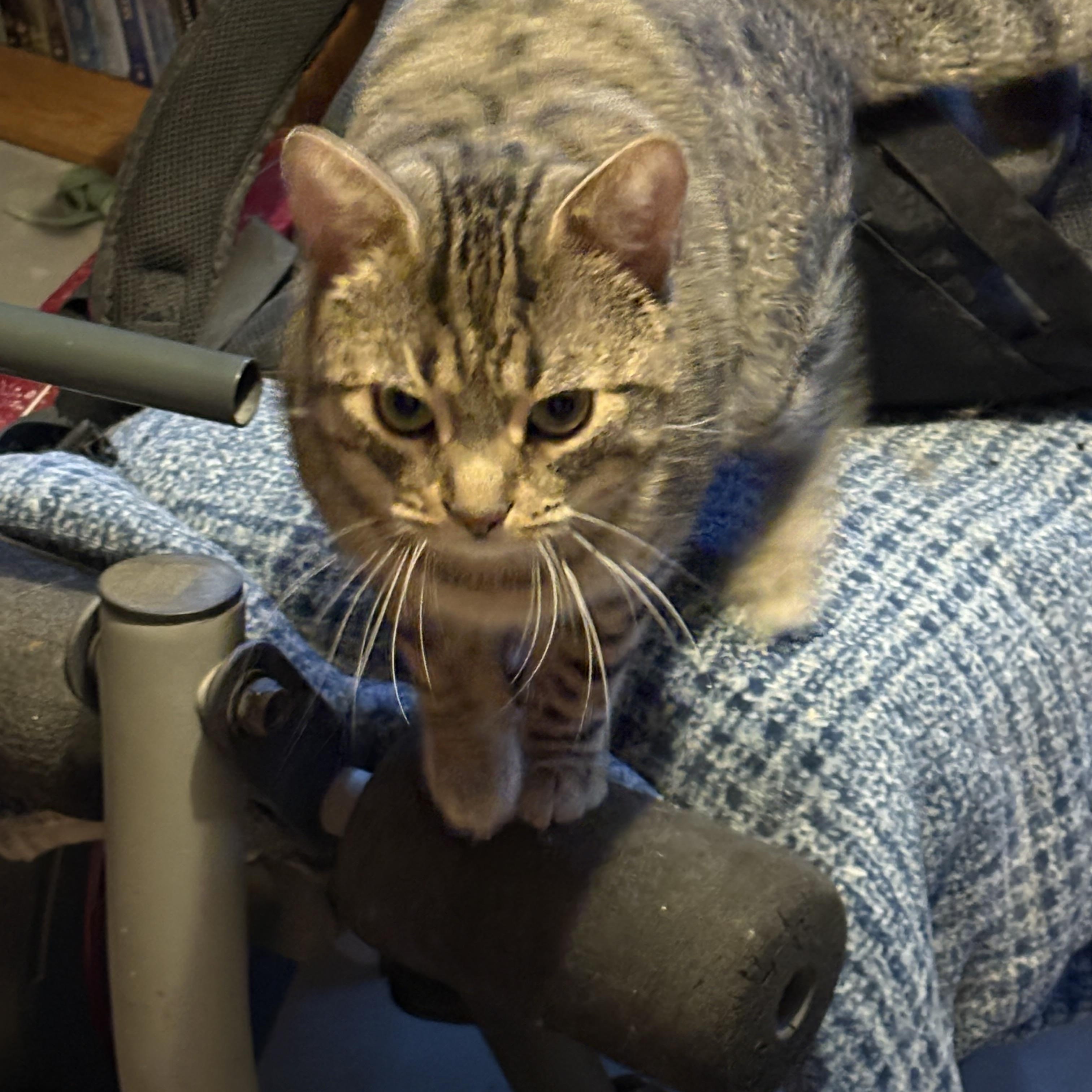 Elliot & Rocket photo 3