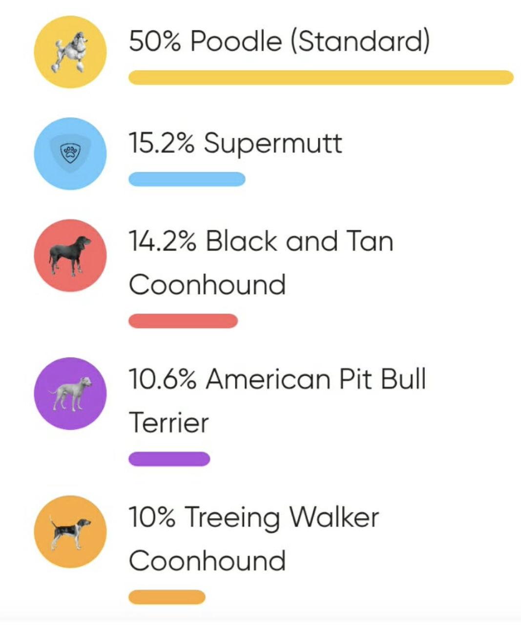 Enlarge Winston, a Adopted mixed breed in Walnutport, PA image 1/3