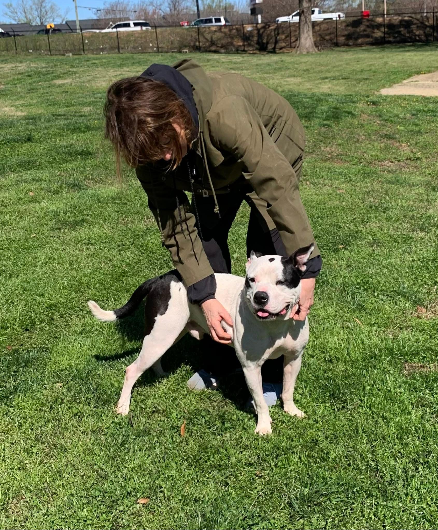 Enlarge Freddy , a ADOPTABLE mixed breed in Douglas, MA image 2/6