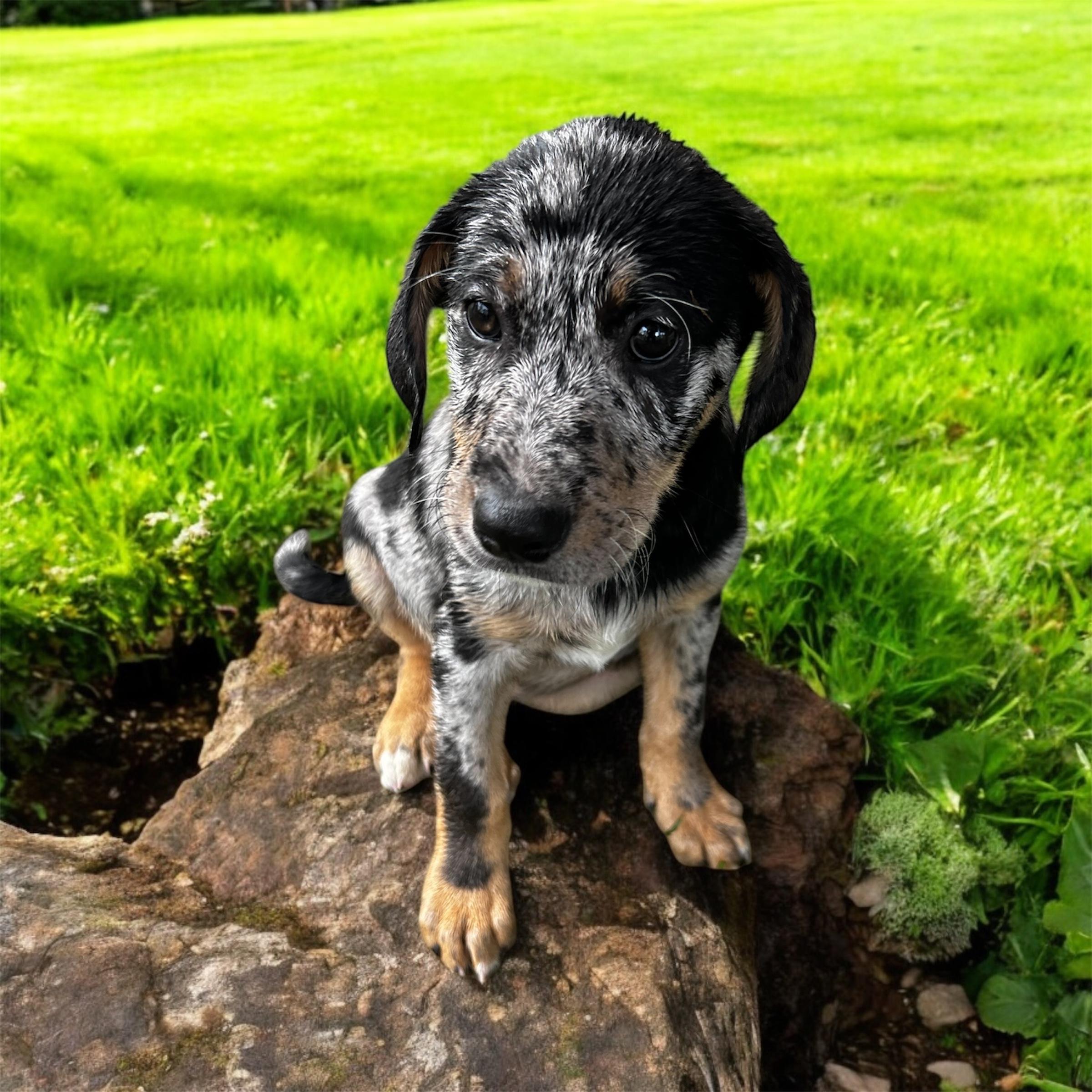 Indiana