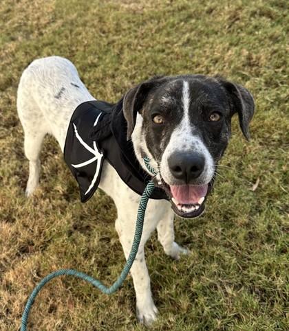 Smoochum — thumbnail 5