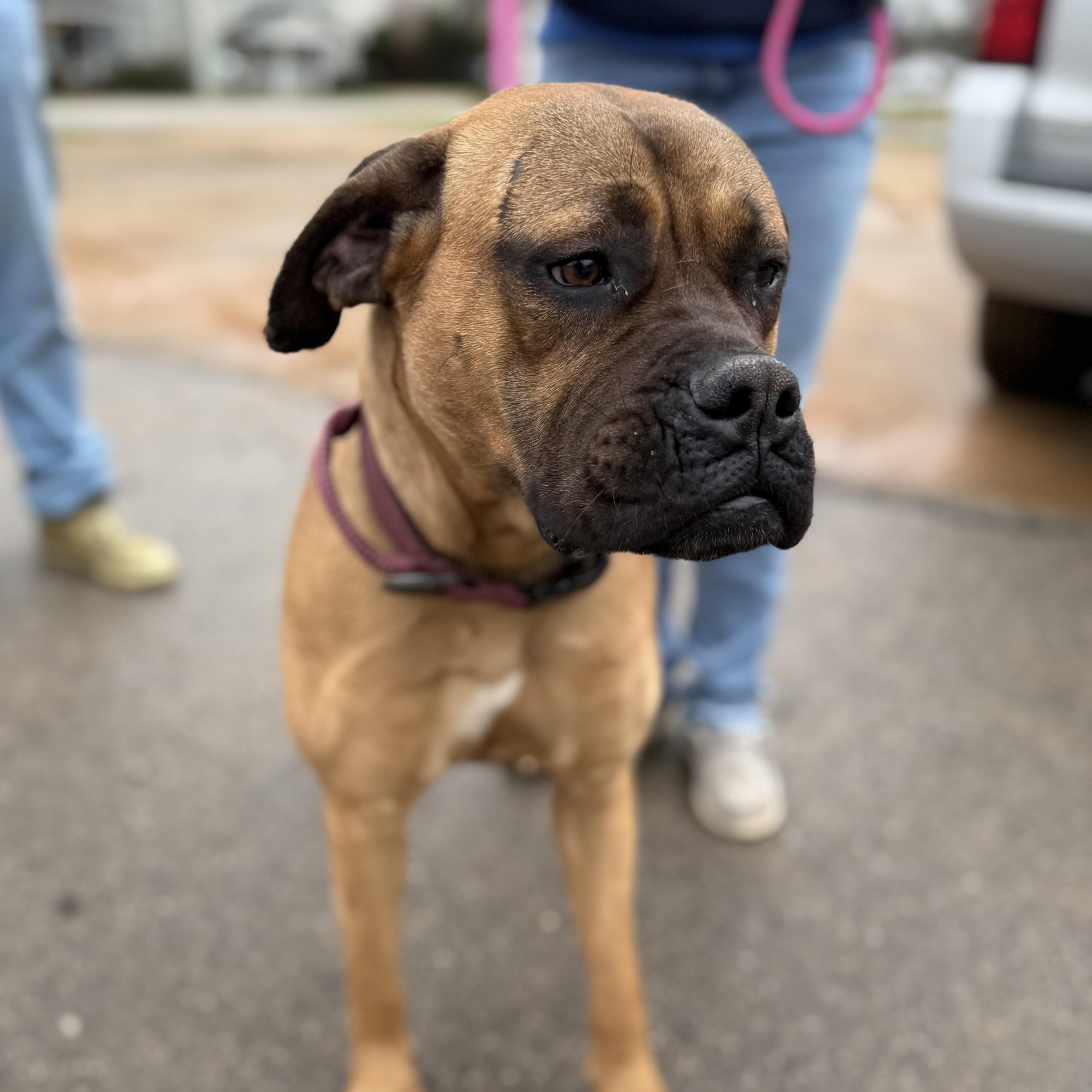 Mary — thumbnail 3