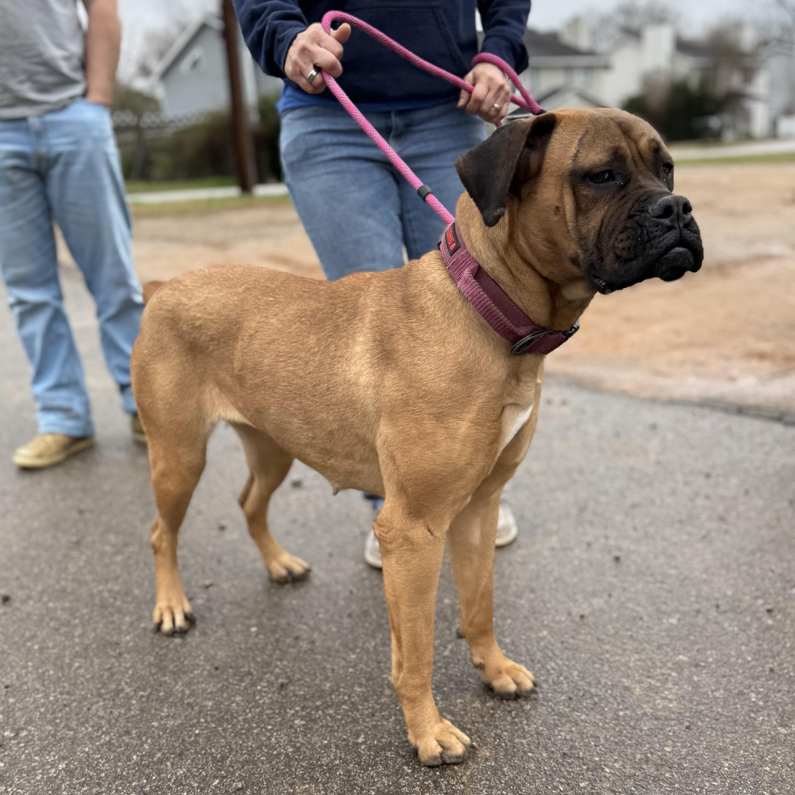 Mary — thumbnail 6