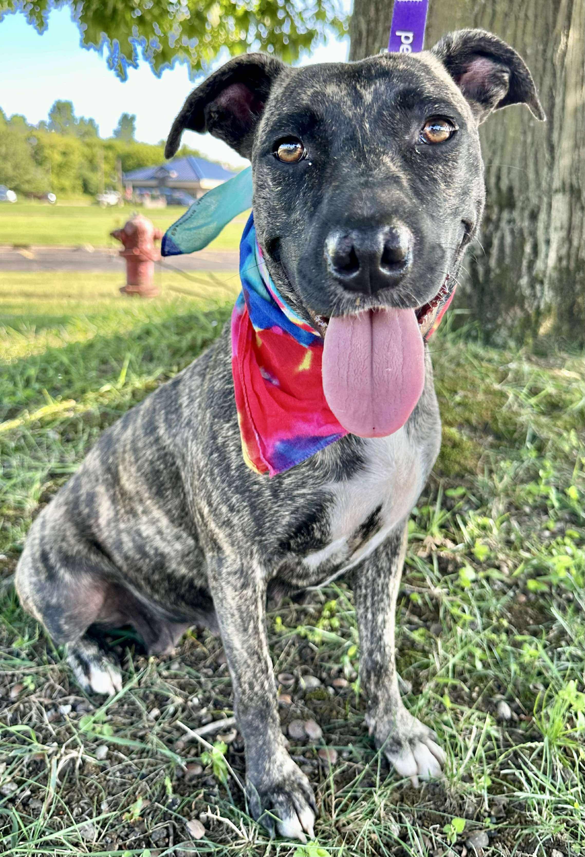 Pepper Photo