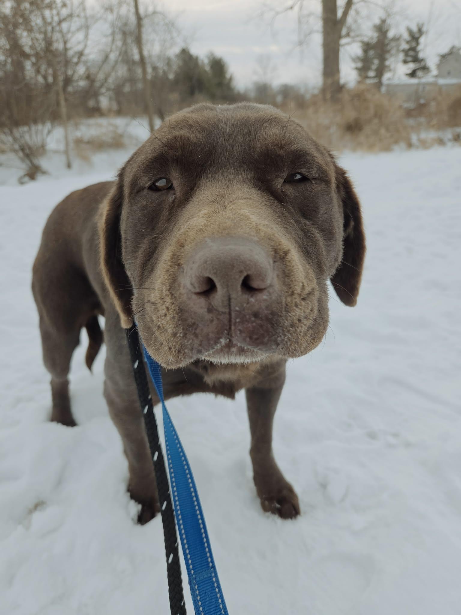 Willow Gracenot Accepting Applications thumbnail 2