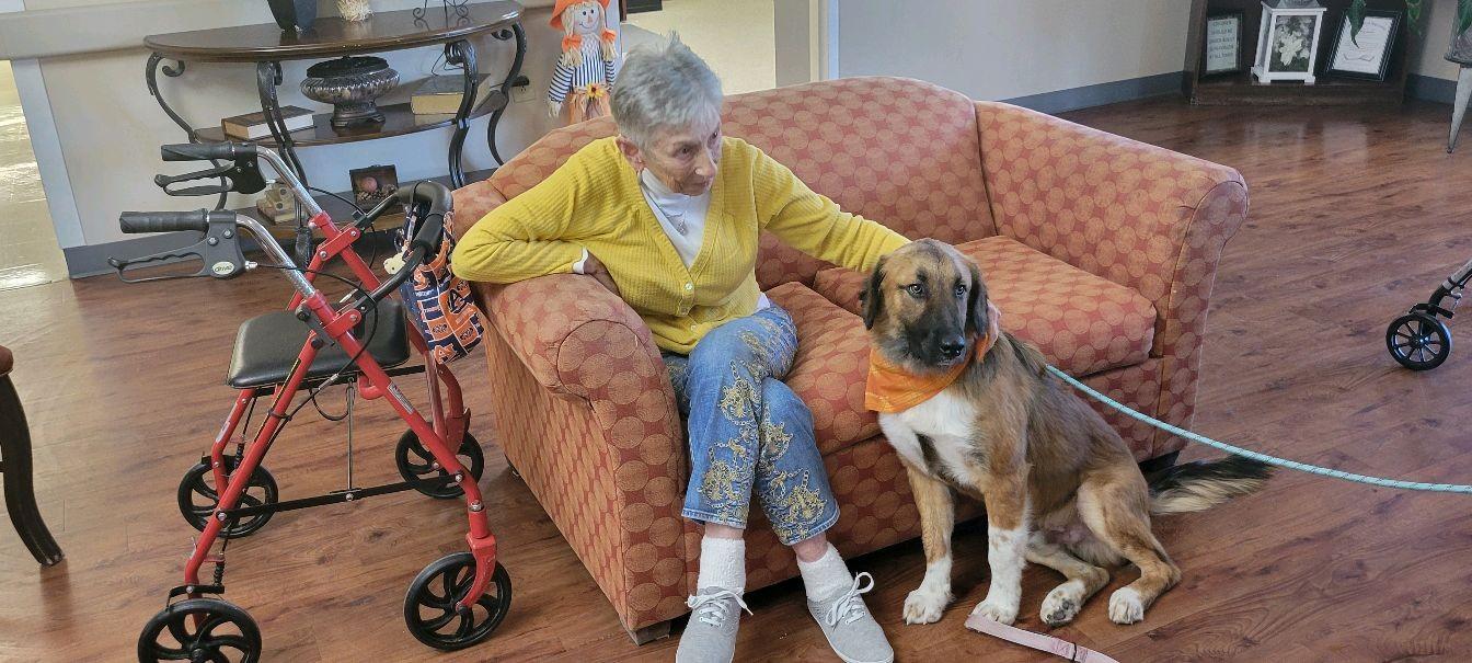 Enlarge Teddy, a ADOPTABLE mixed breed in South Portland, ME image 4/6