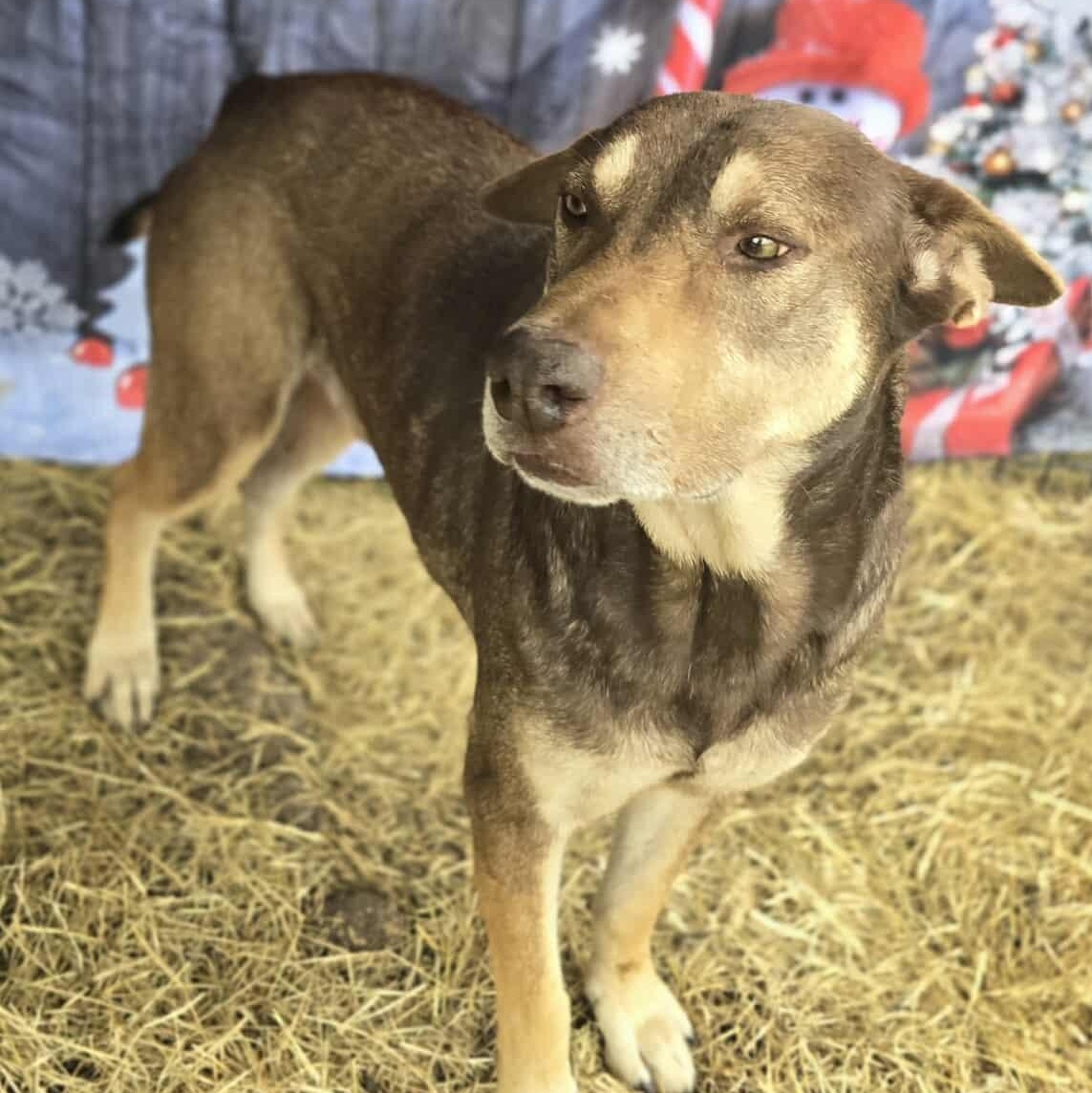 Beckett — thumbnail 4