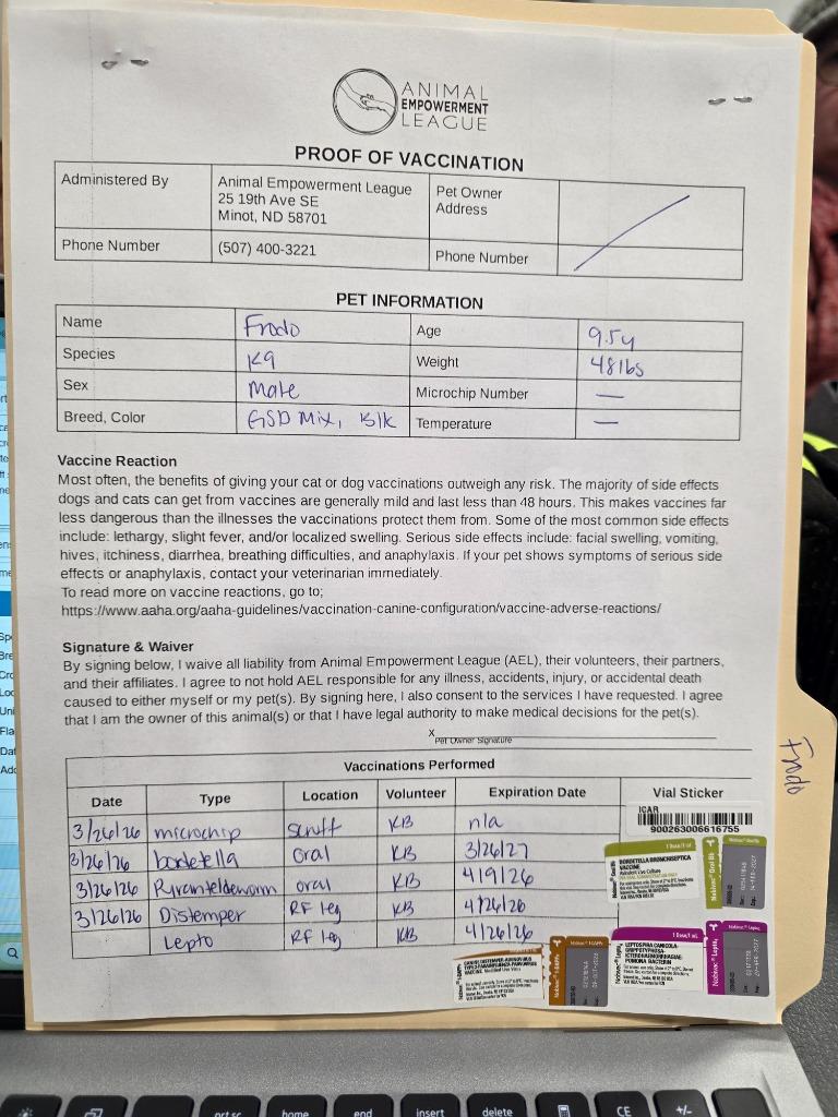 Frodo 26-6935, a Adoptable mixed breed in Minot, ND image 1/3