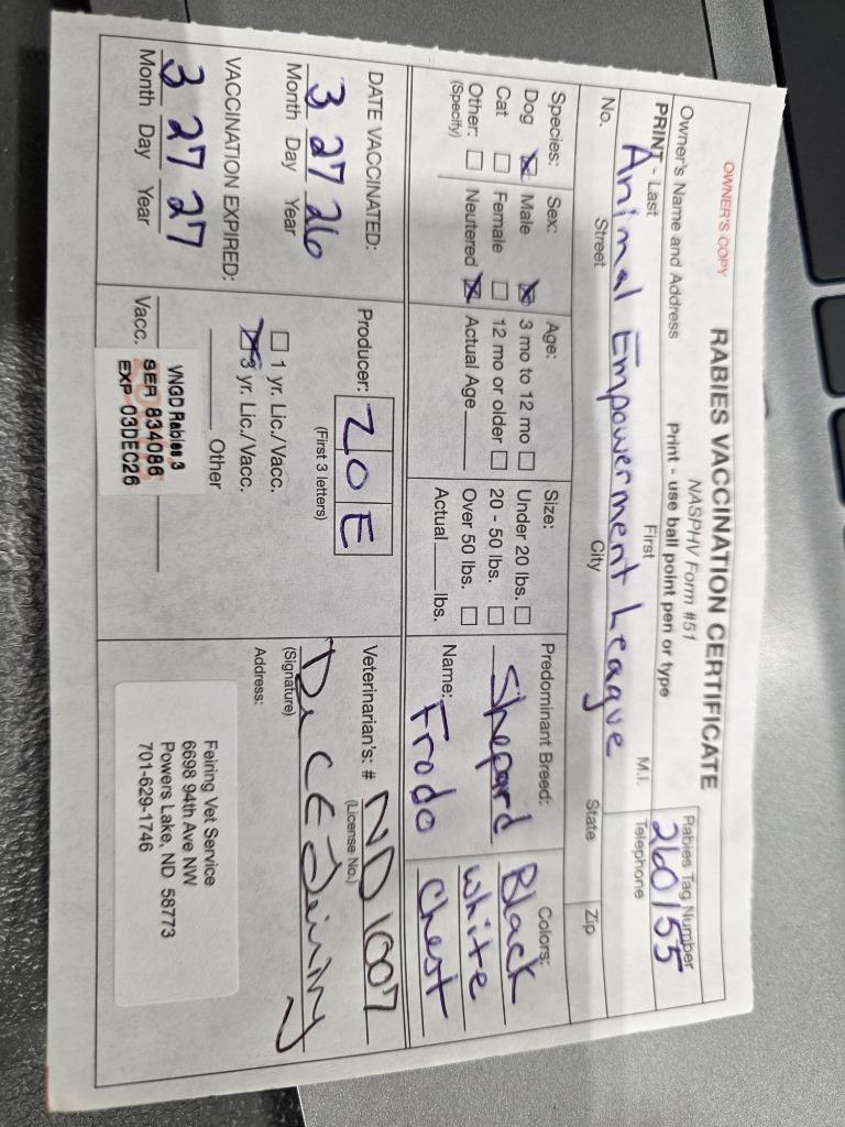 Frodo 26-6935, a Adoptable mixed breed in Minot, ND image 3/3