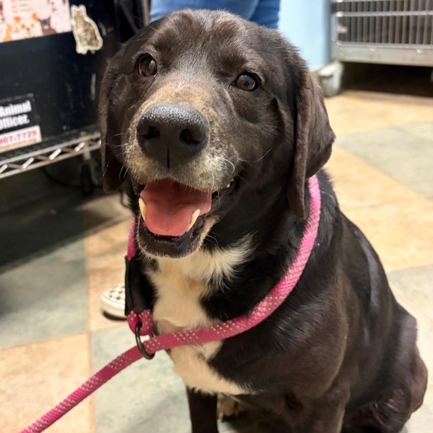 Willoughby — thumbnail 2