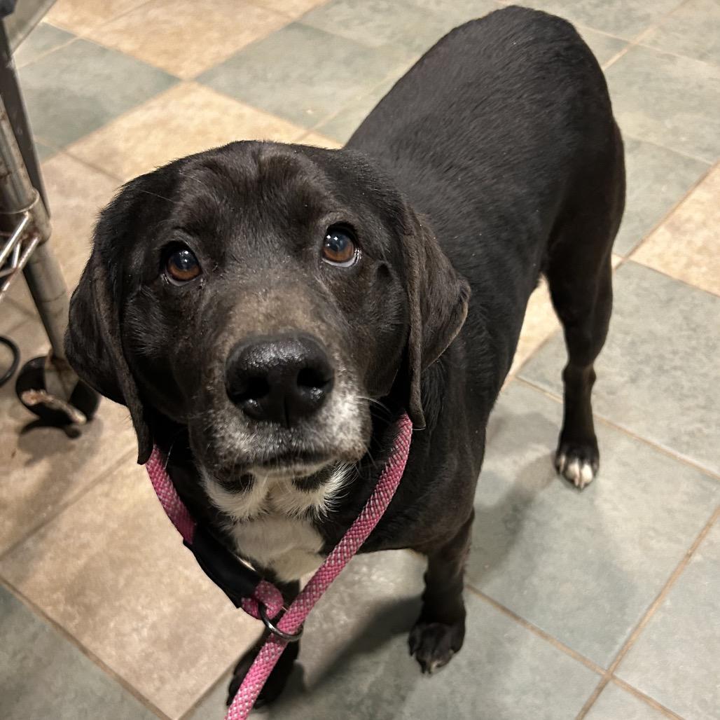 Willoughby — thumbnail 4