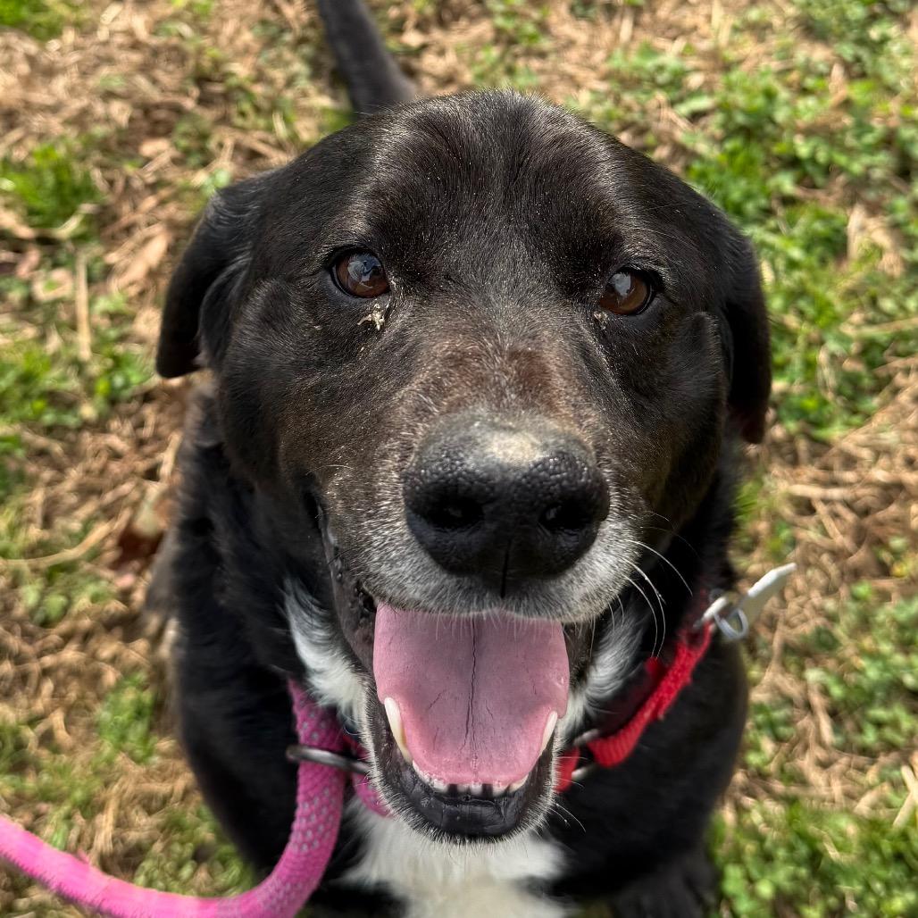 Willoughby — thumbnail 5