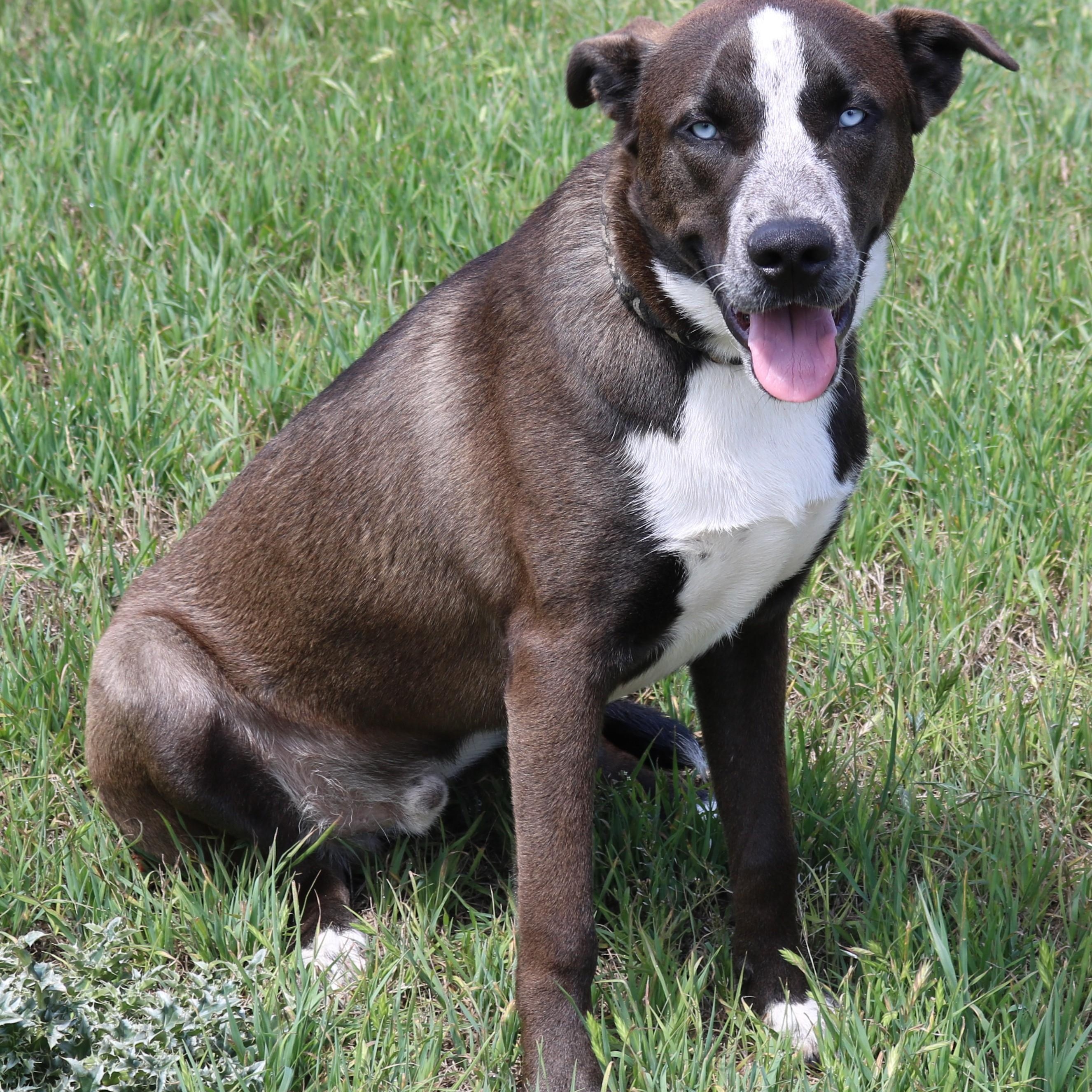 Duke