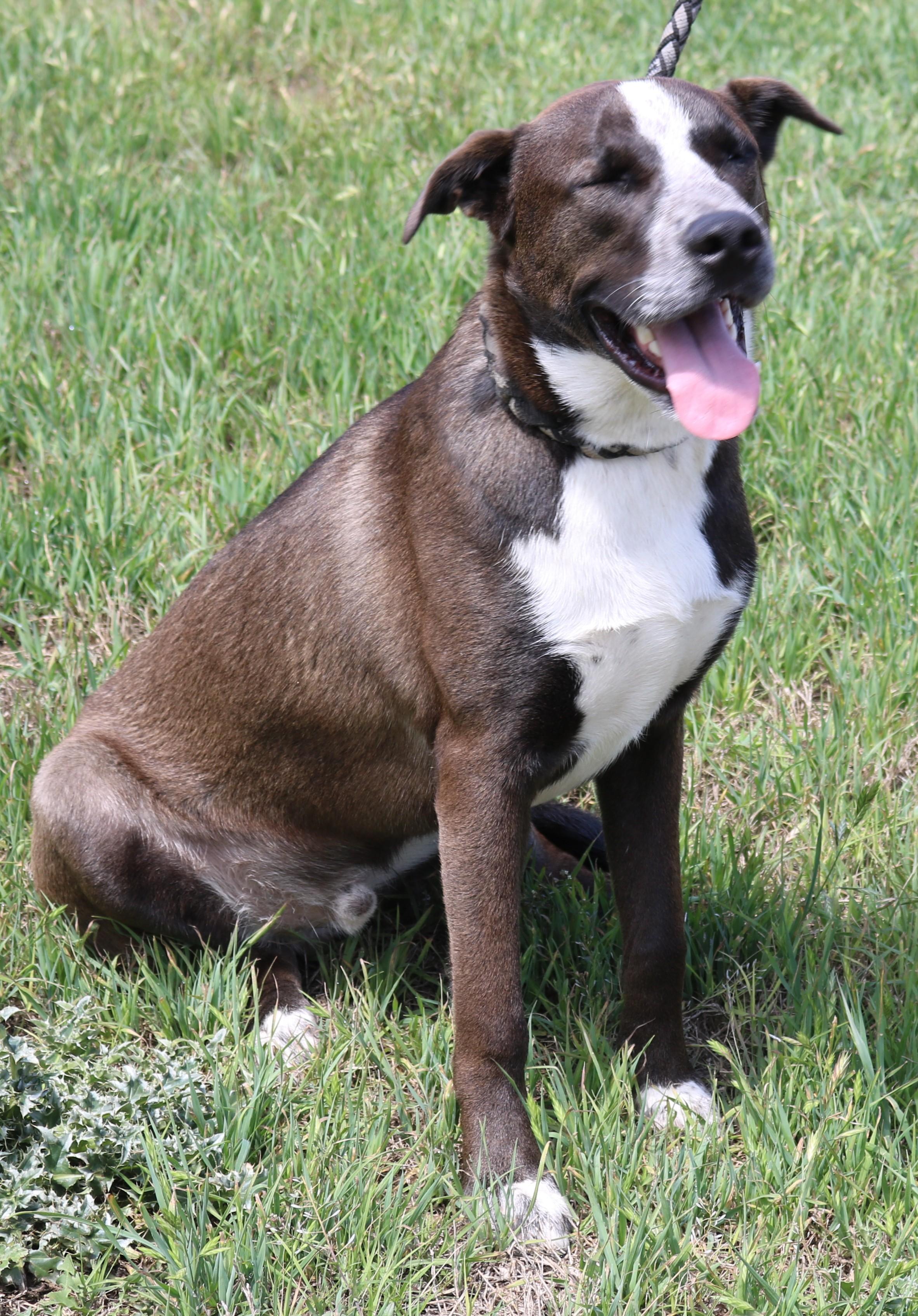 Duke