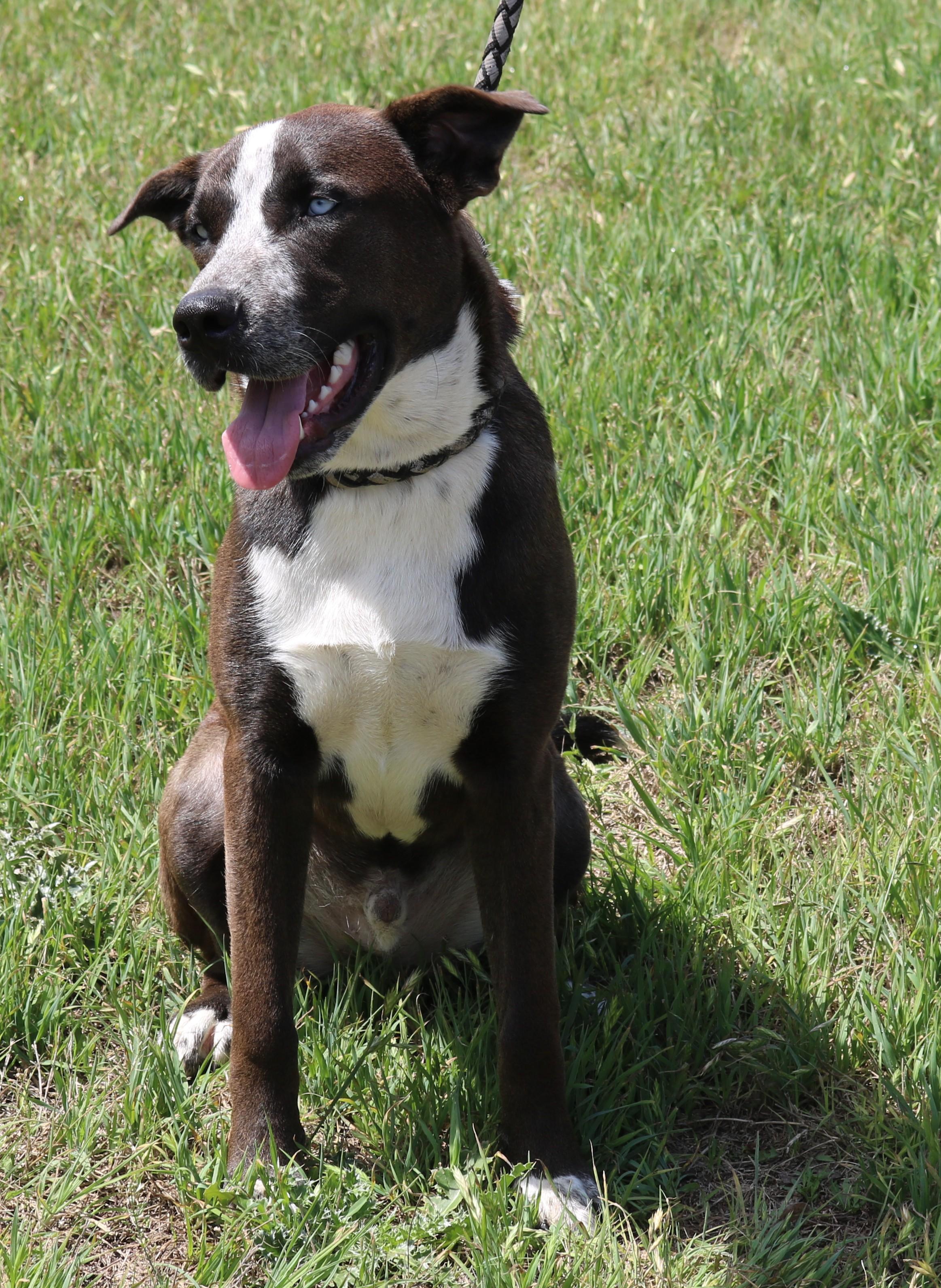 Duke