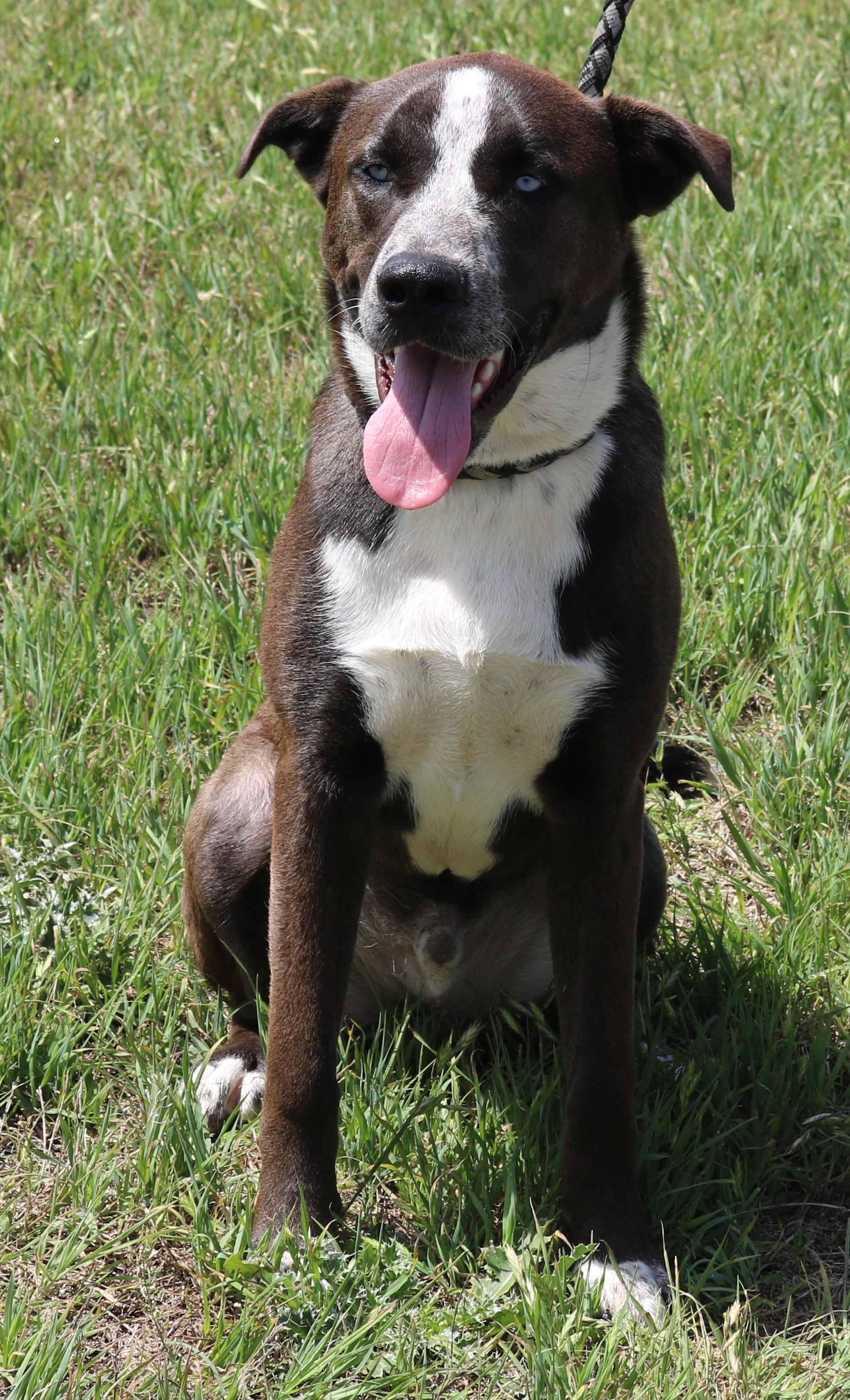 Duke