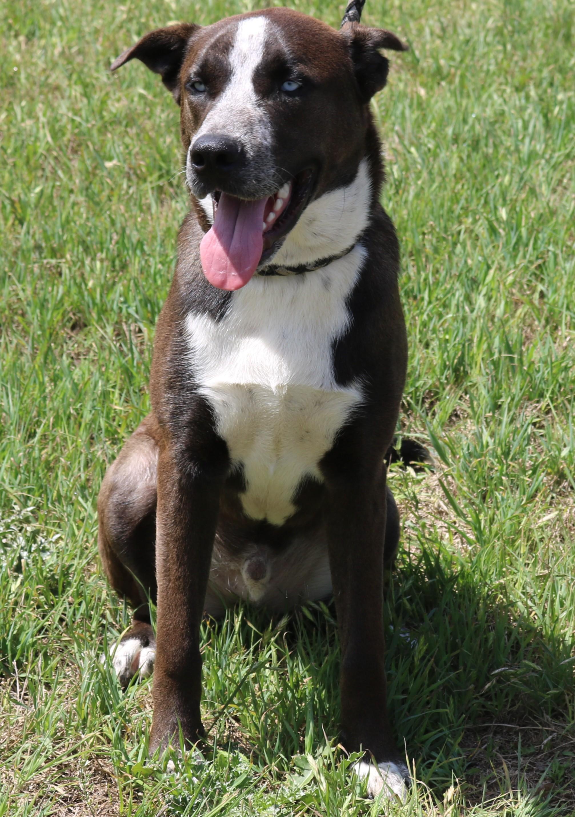 Duke