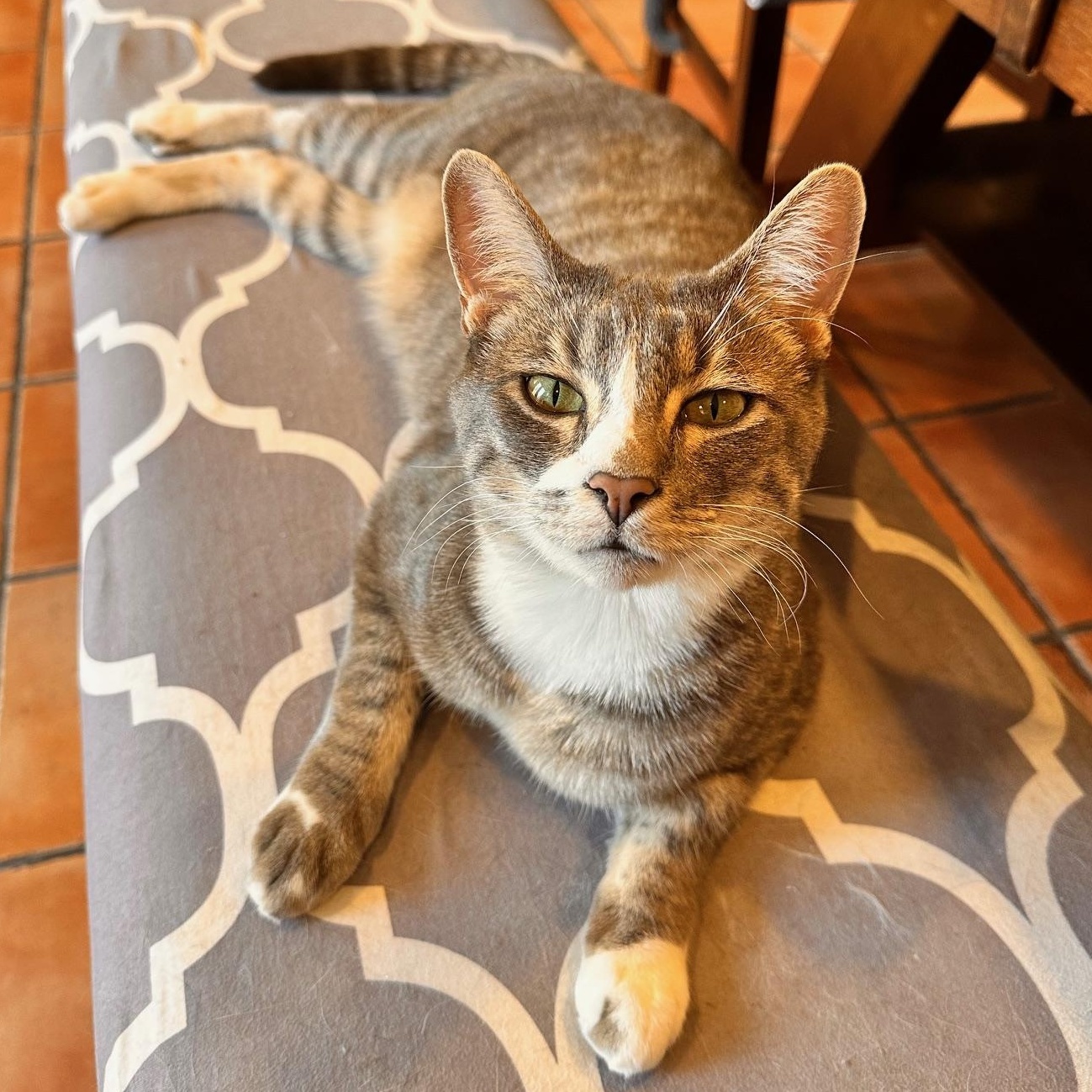 Caruso