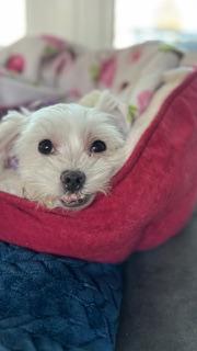 Daisy/Redington Beach