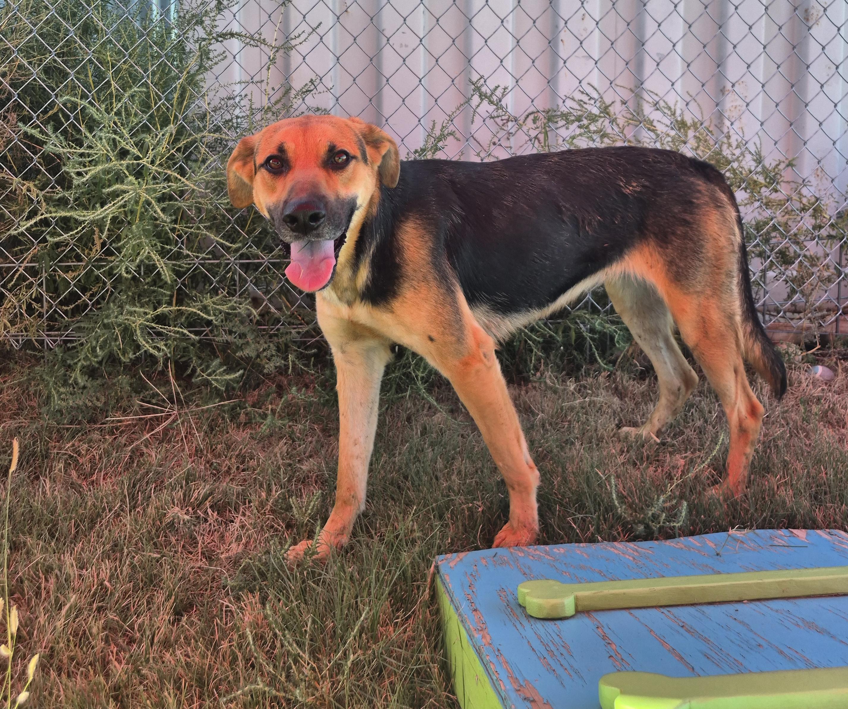 Esther — thumbnail 2