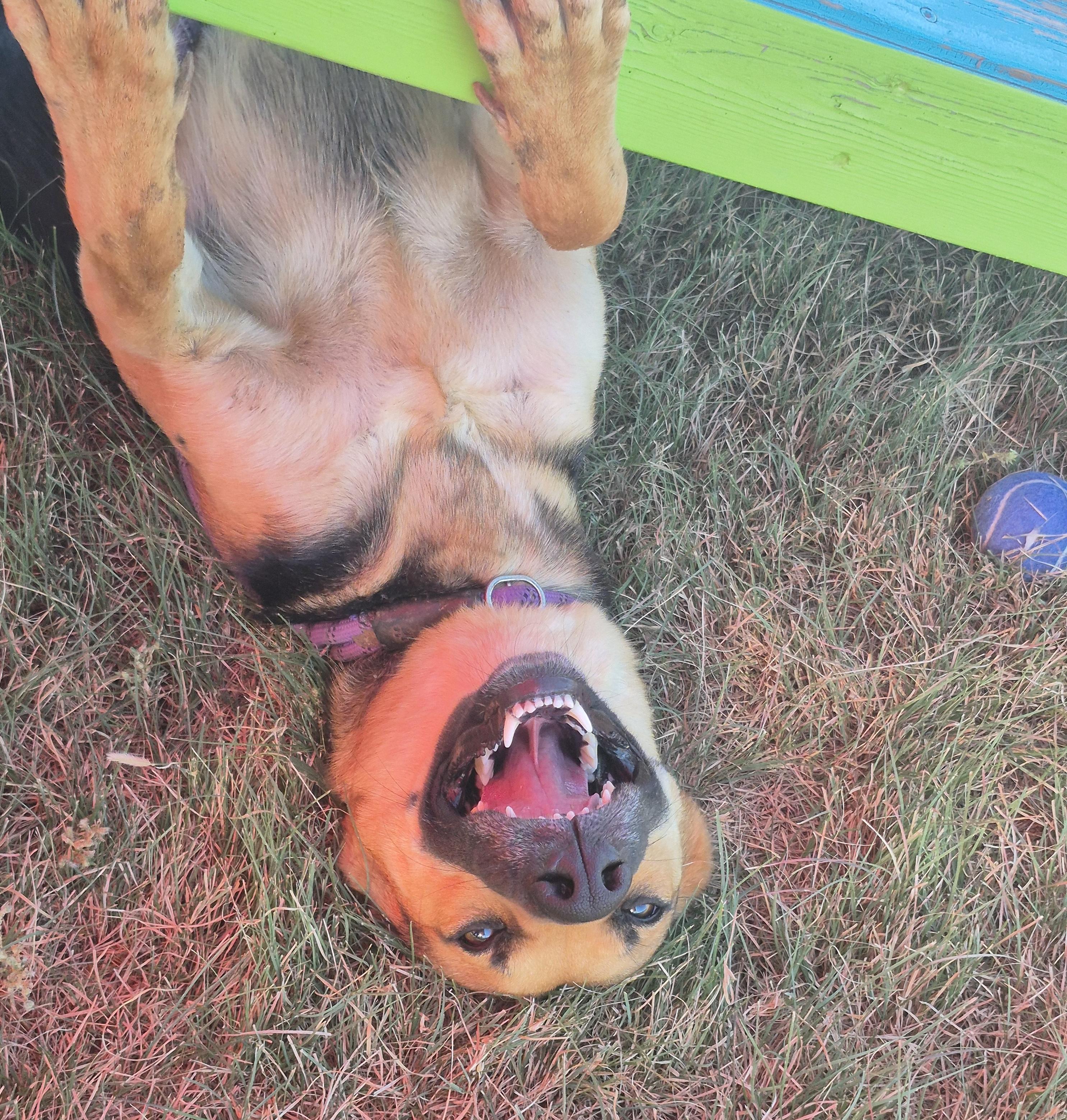 Esther — thumbnail 4