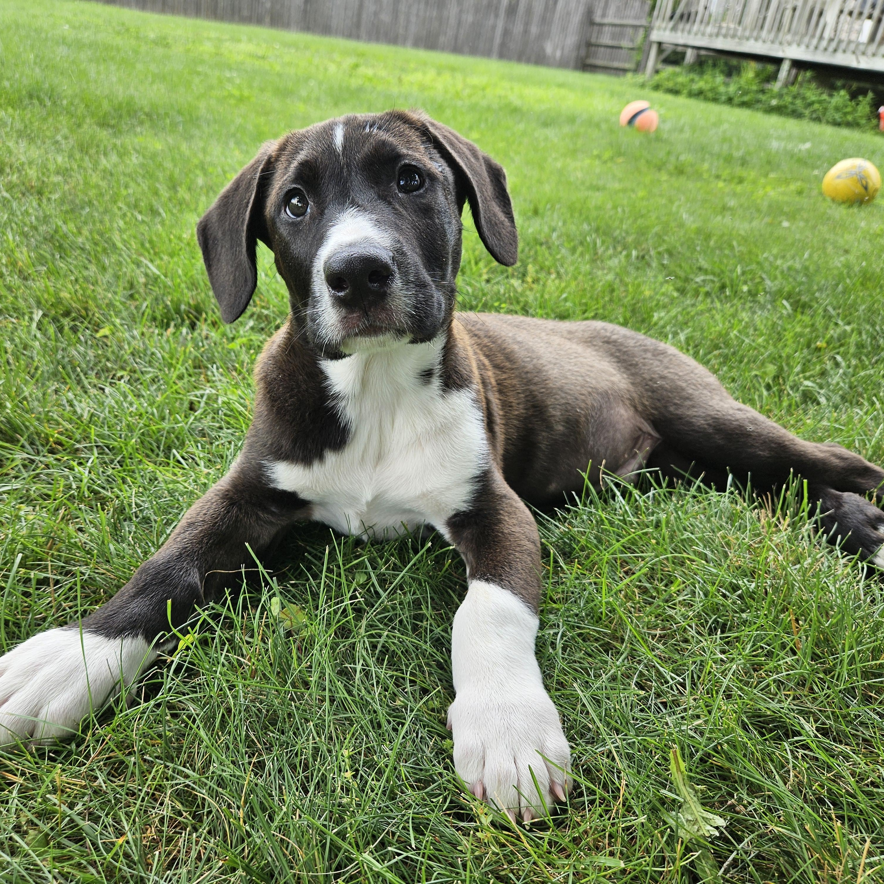 Jake photo 2