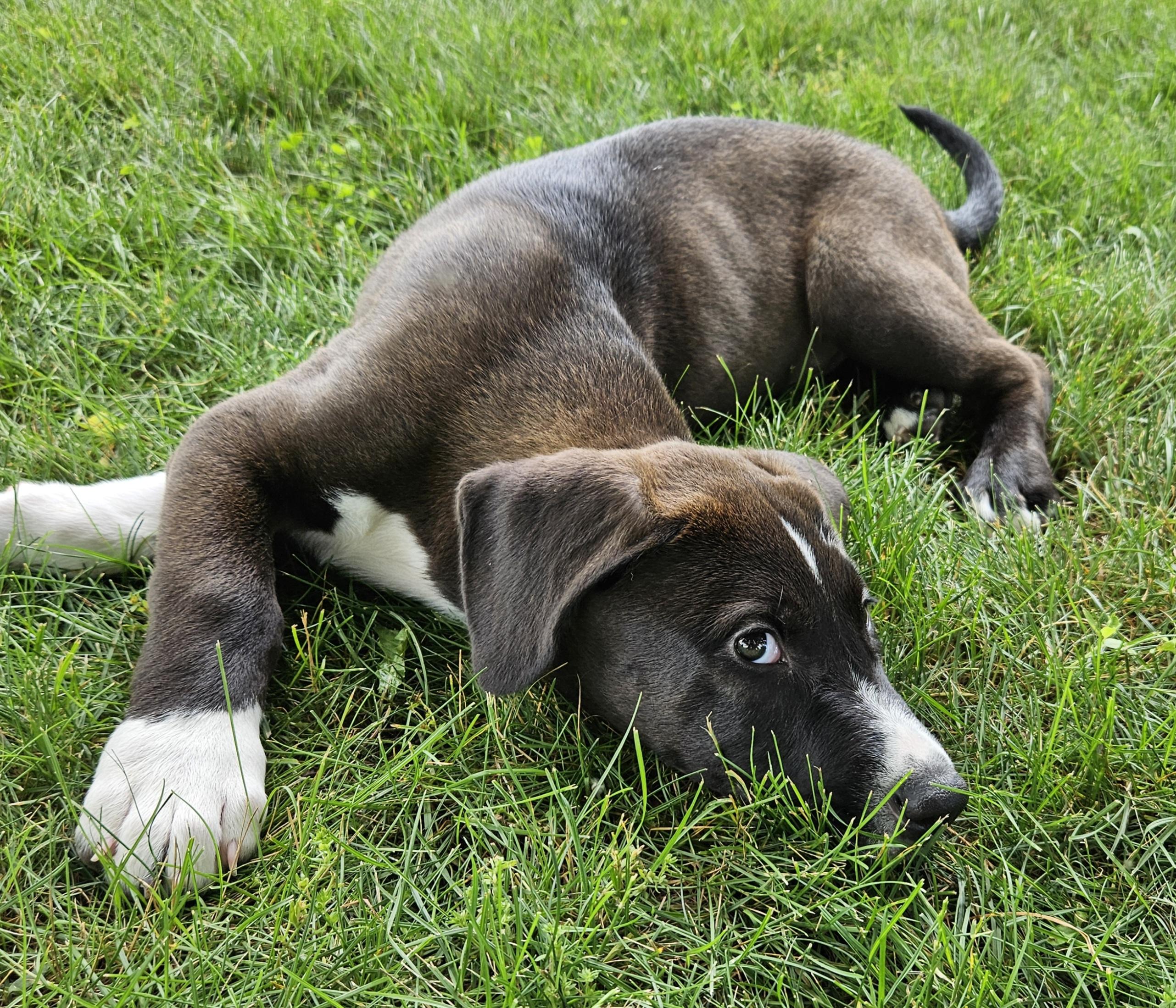 Jake photo 4