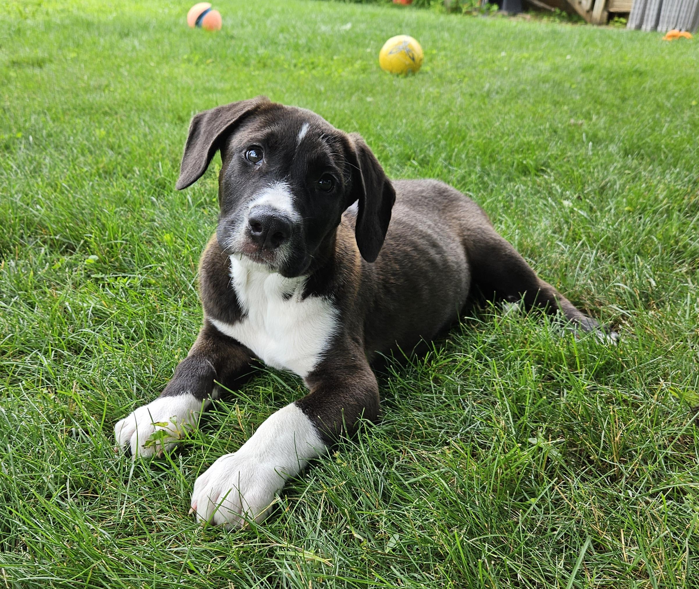 Jake photo 3