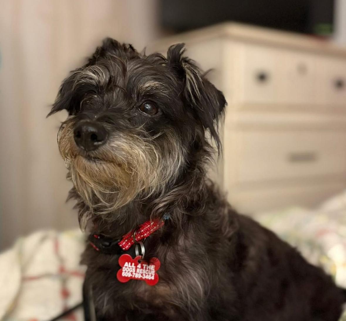 Maizey photo 1