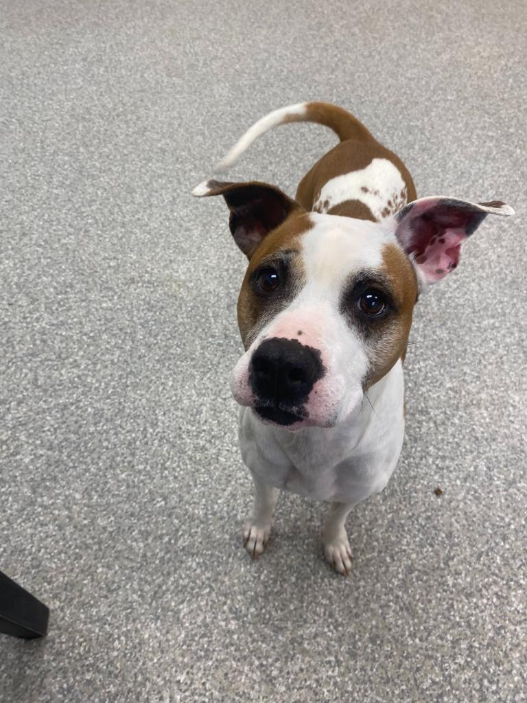 Elsa — thumbnail 3