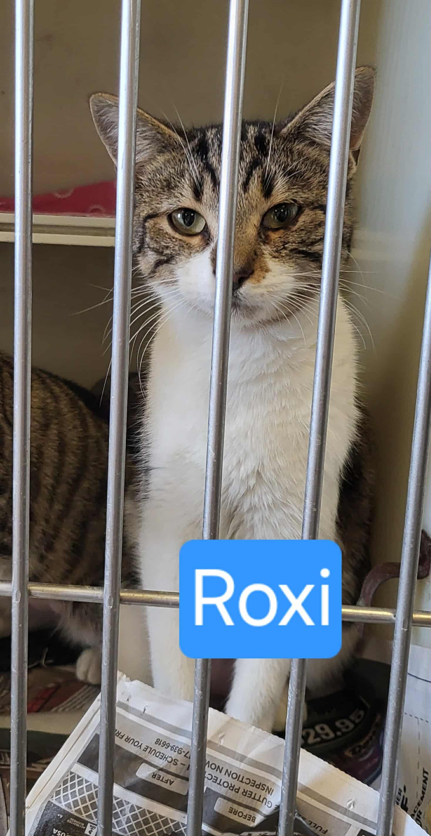 Roxy