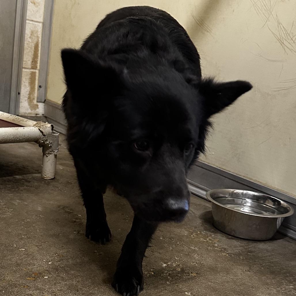 Sadie Mae thumbnail 2