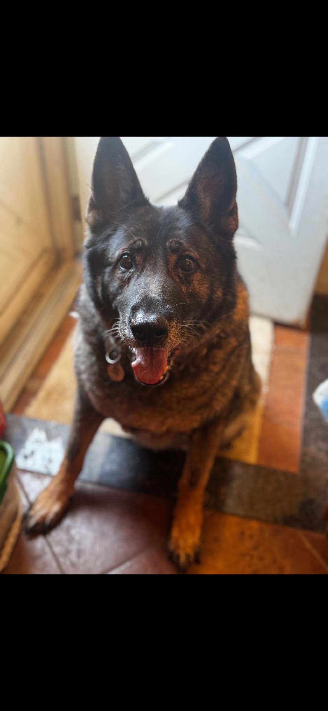 Zoey ** COURTESY POST **